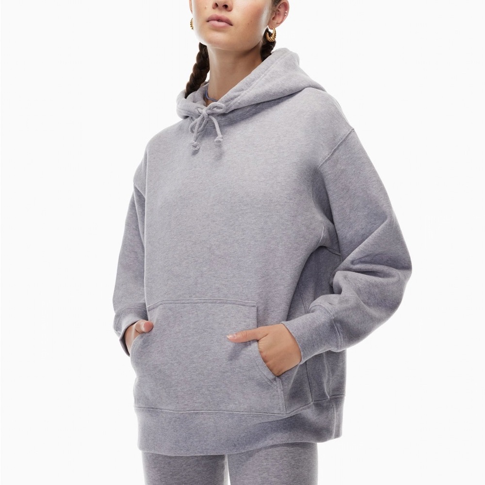 Aritzia Heather Gray Hoodie